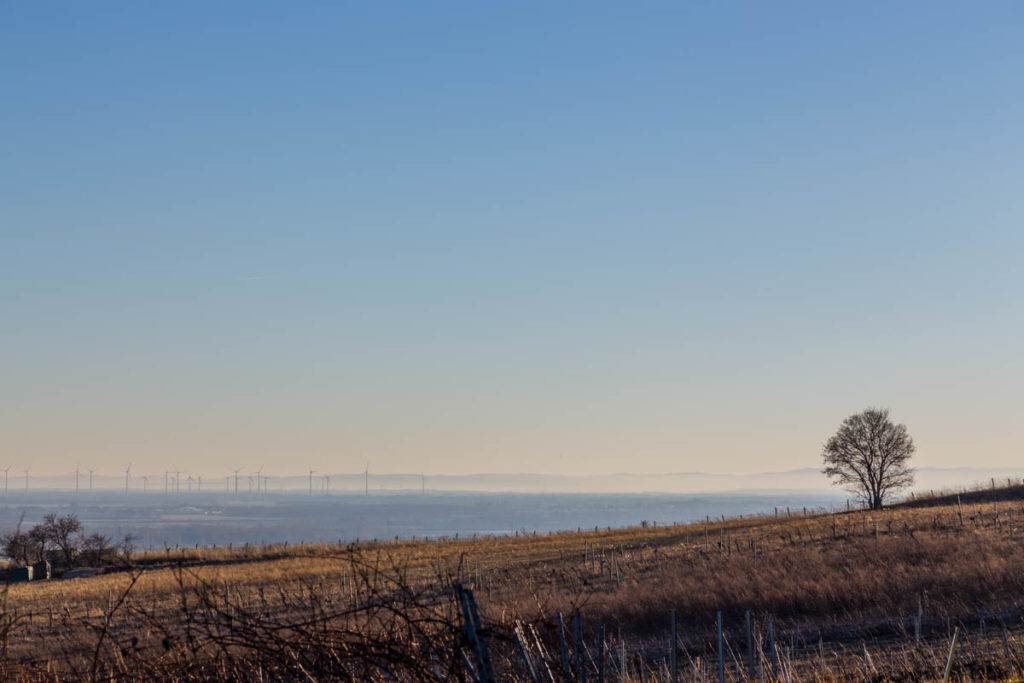 Eichkogel-4878-HDR-Bearbeitet.jpg