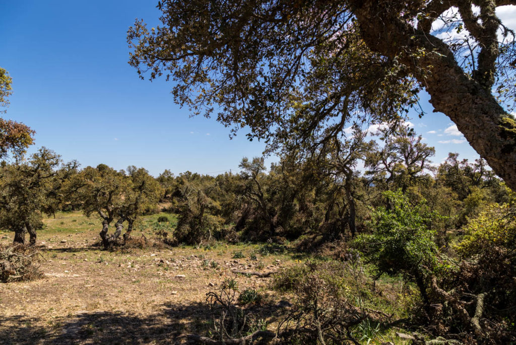 Sardinien_2017-0575-HDR.jpg