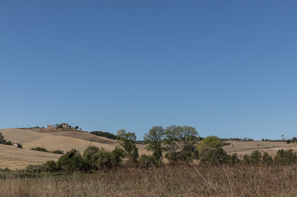 _K8A4217.jpg
