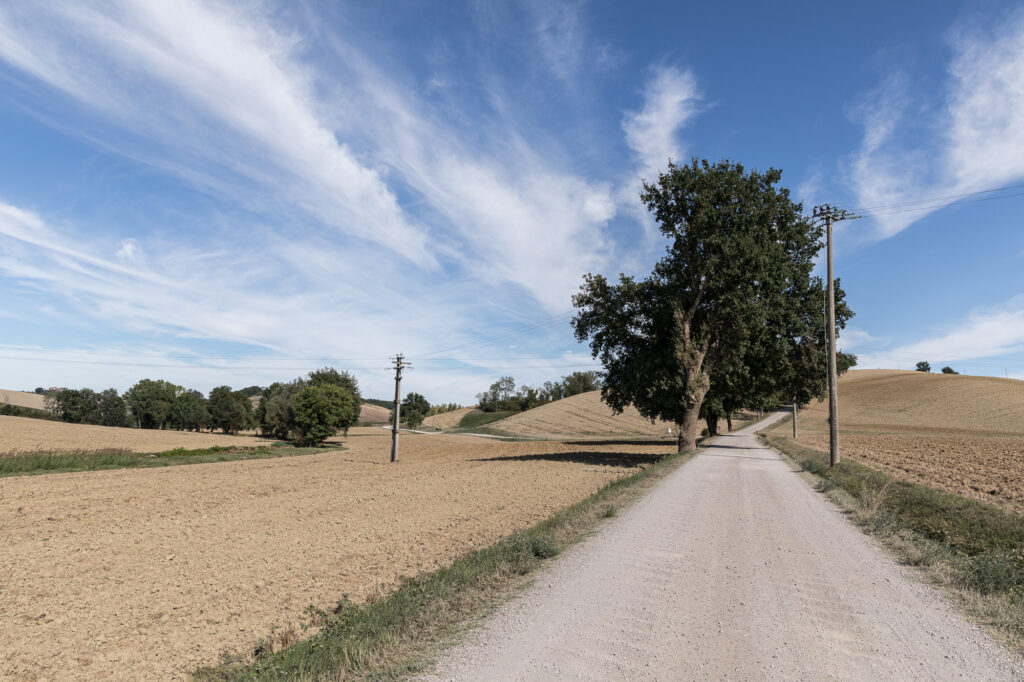 _K8A4297.jpg