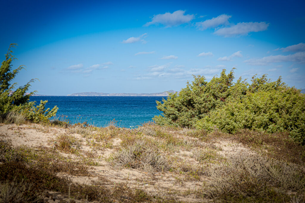 _MG_7907.jpg