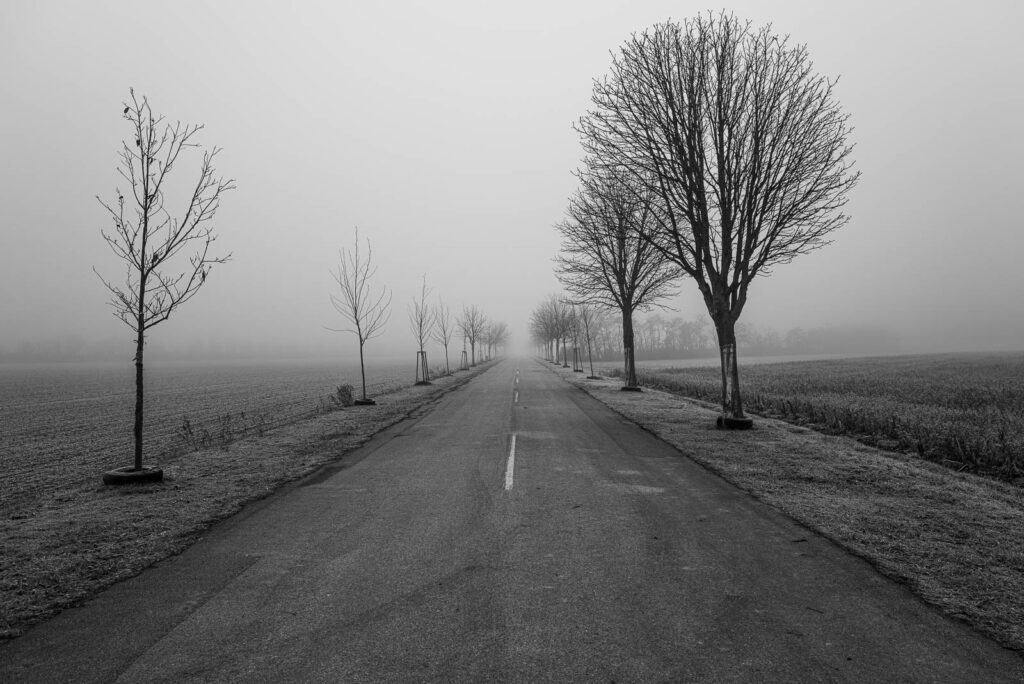 L1000588.jpg