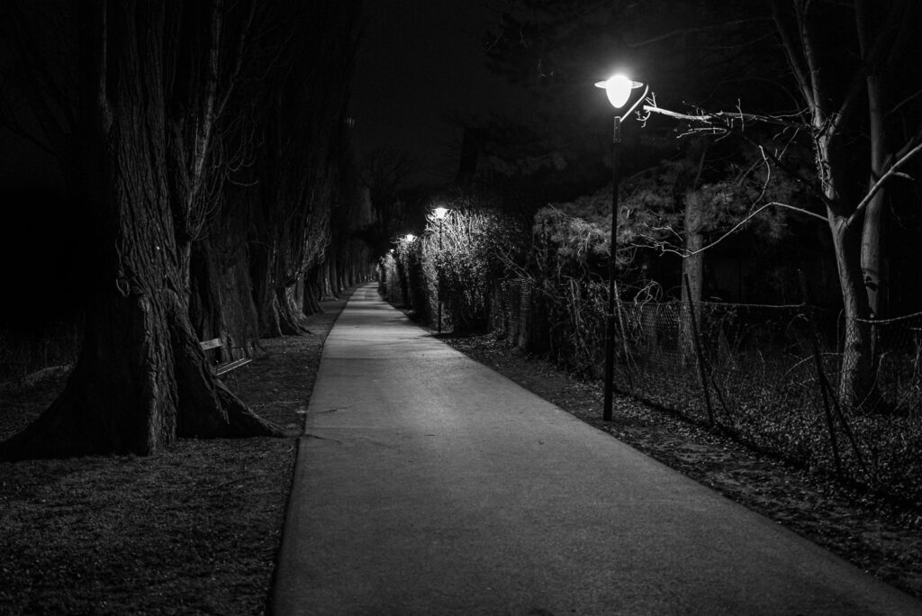 L1001030.jpg