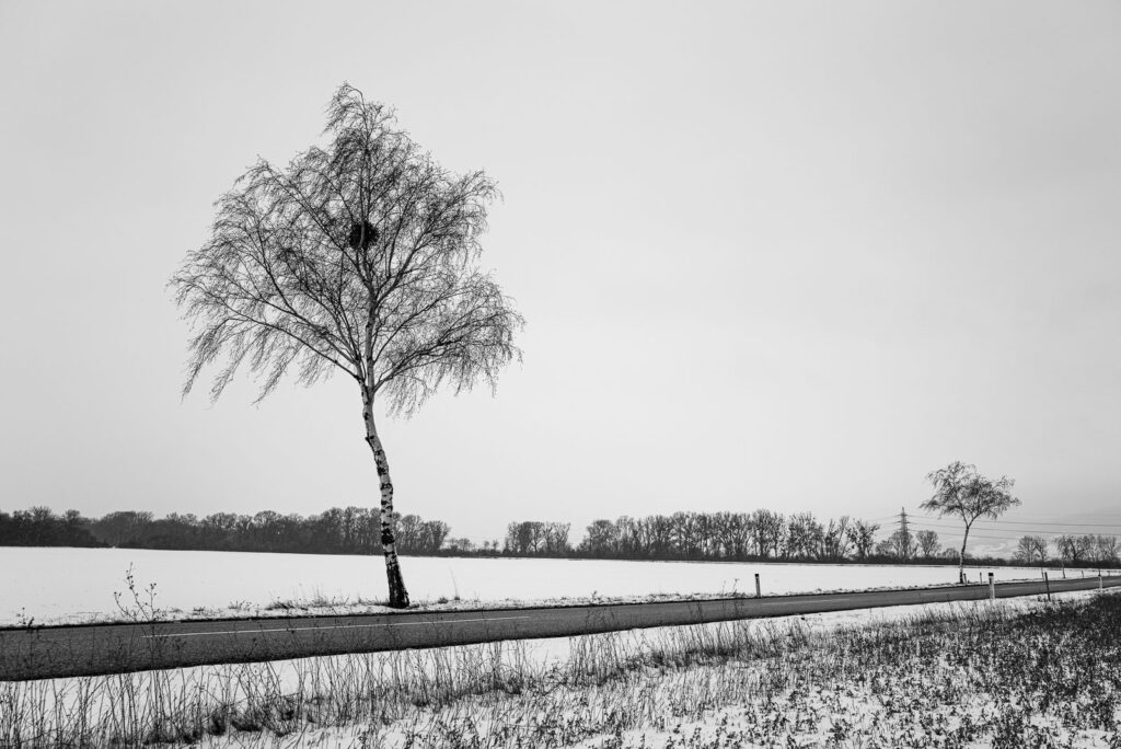 L1001315.jpg
