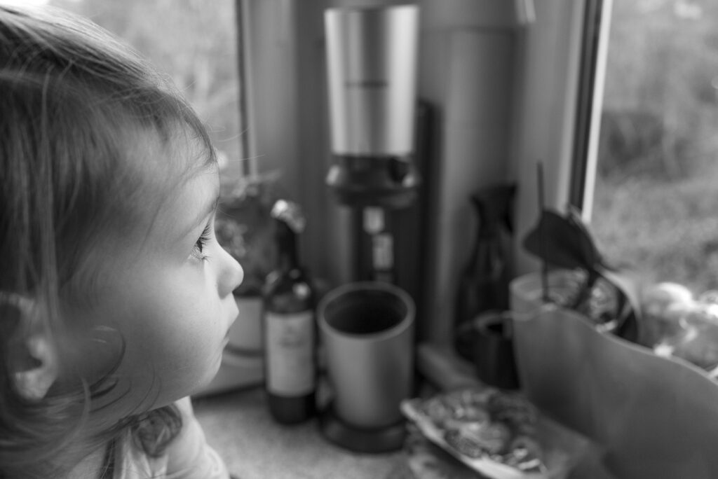 L1001371.jpg