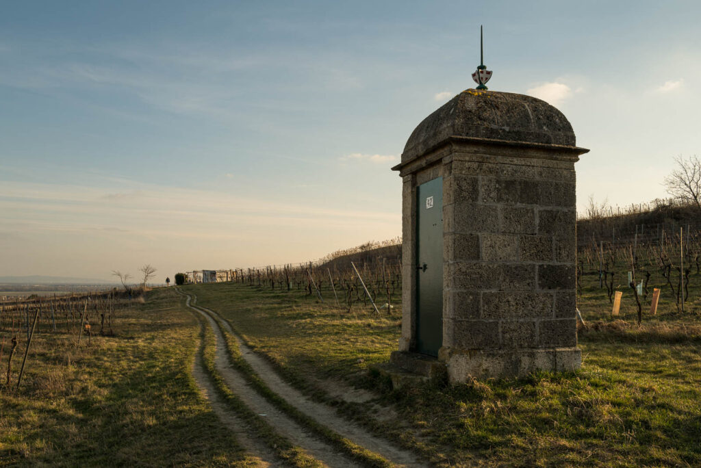 L1001942.jpg