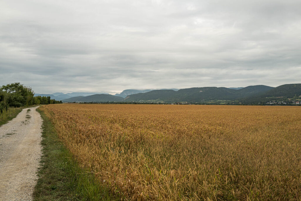 L1000969.jpg