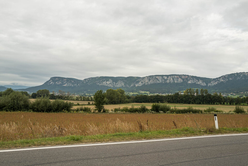 L1000972.jpg