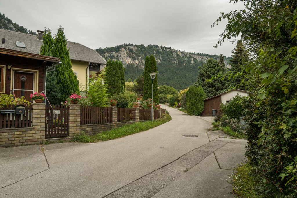 L1000977.jpg