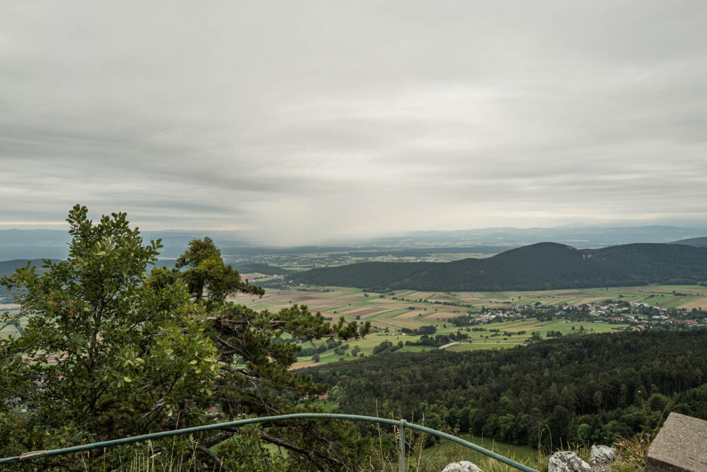 L1000987.jpg