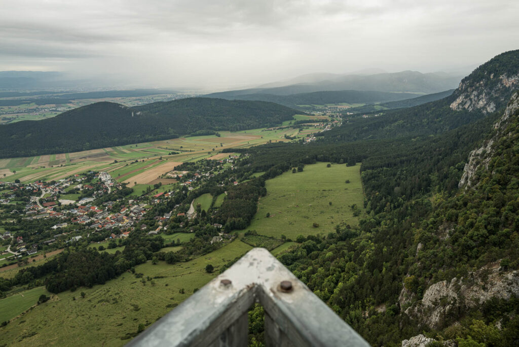 L1001009.jpg