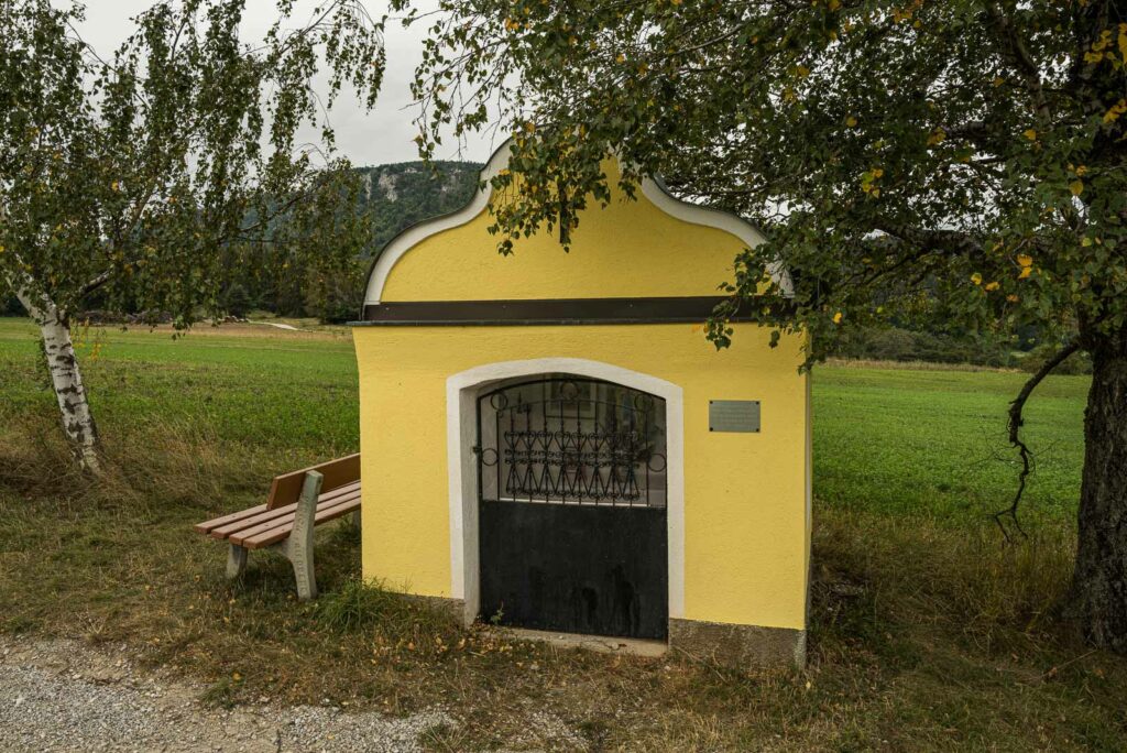 L1001020.jpg