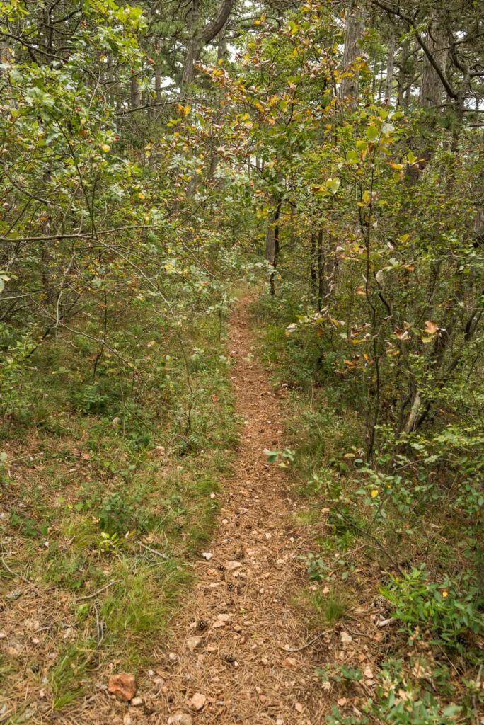 L1001021.jpg