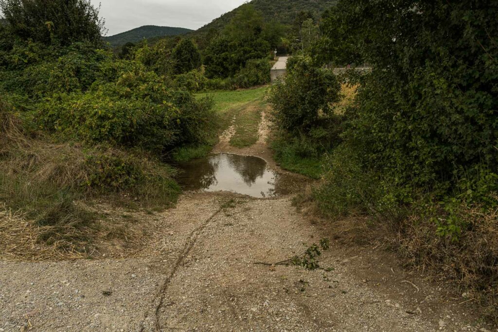 L1001032.jpg