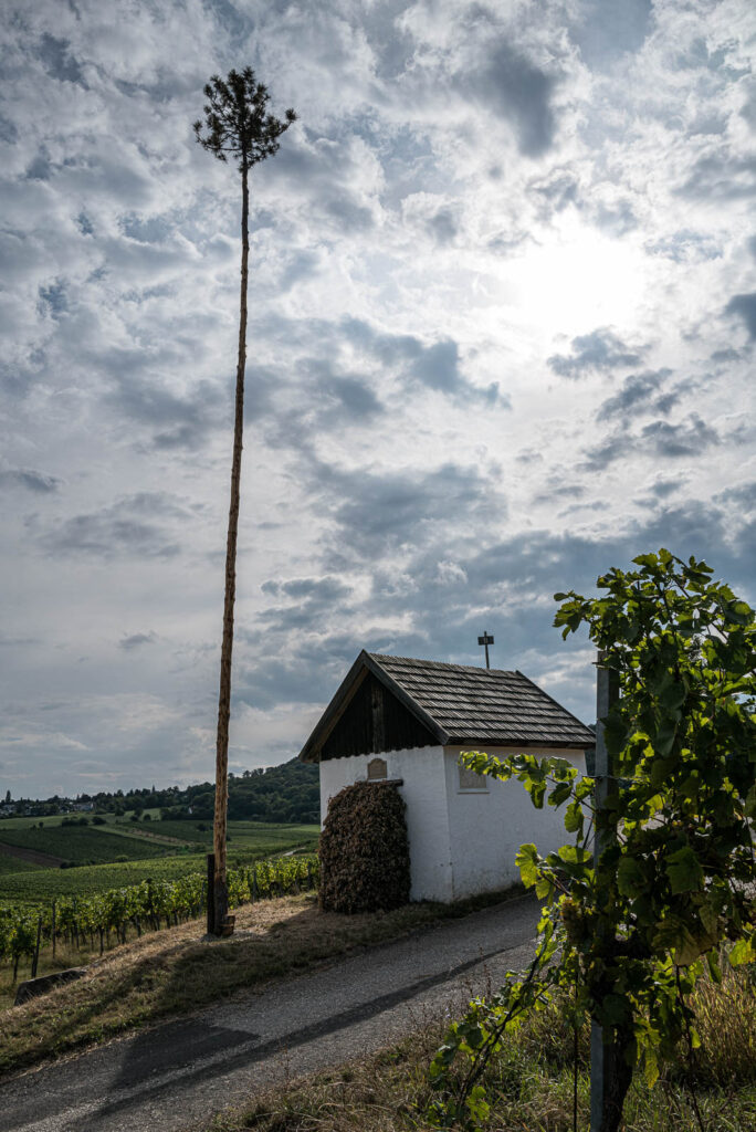L1000841.jpg