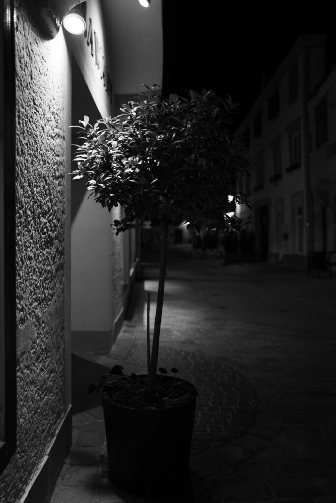 L1001225-2.jpg