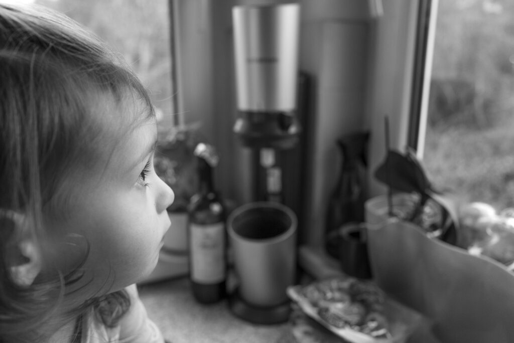 L1001371.jpg