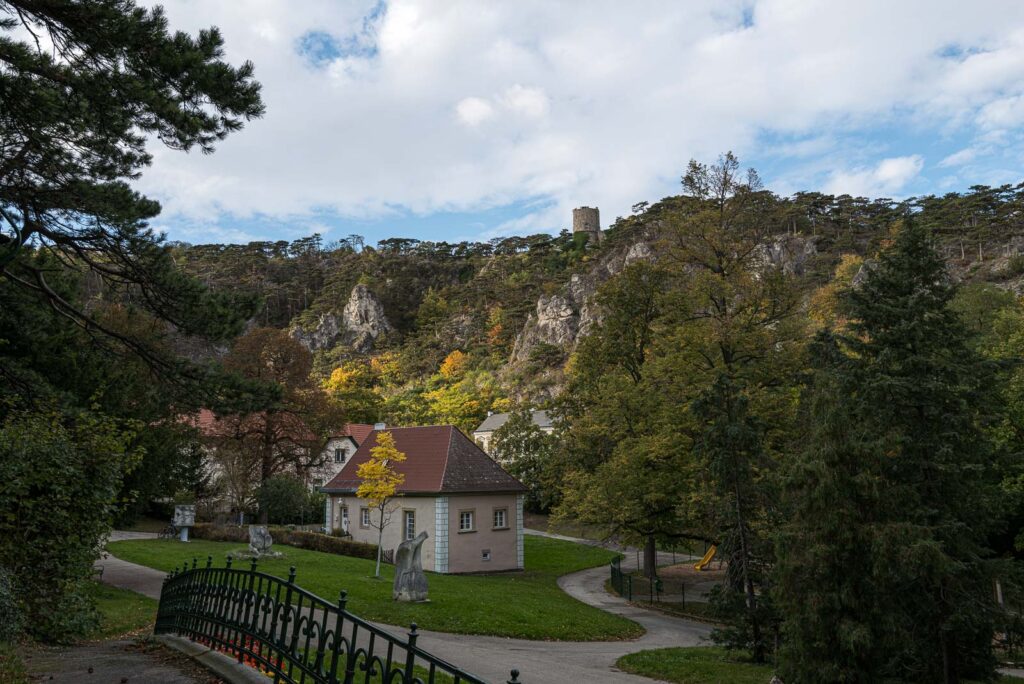 L1001773.jpg