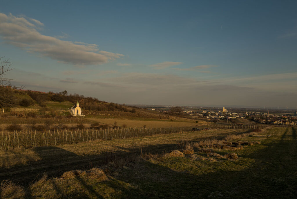 L1001947.jpg