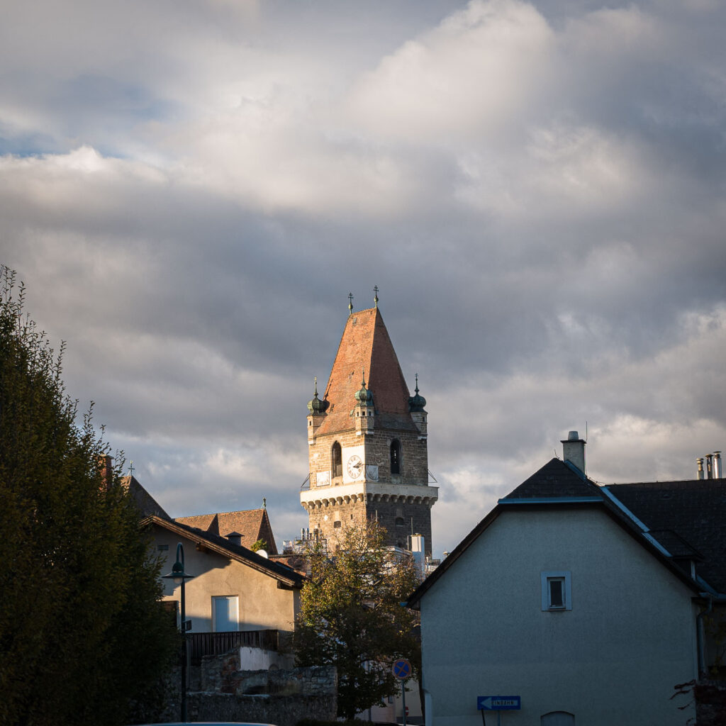 L1002321.jpg