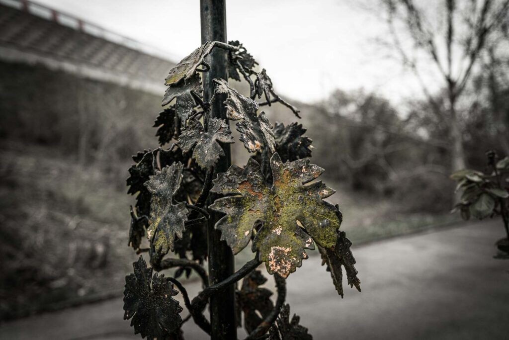 L1002724.jpg