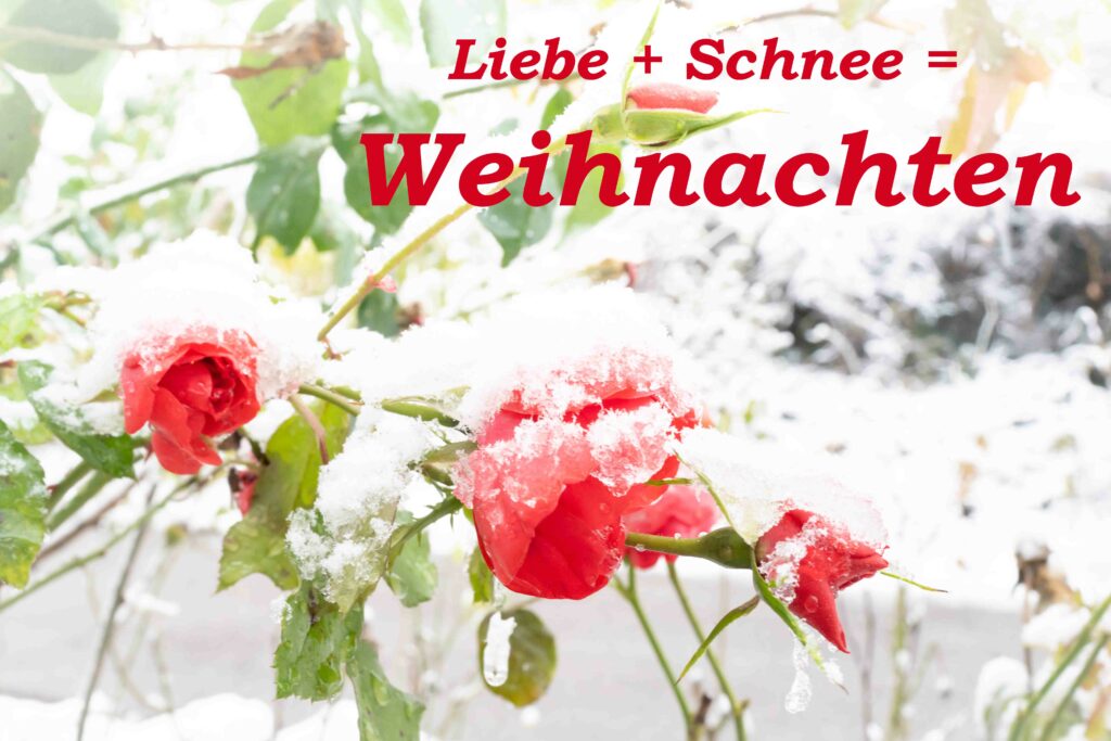 L1002622-Bearbeitet.jpg