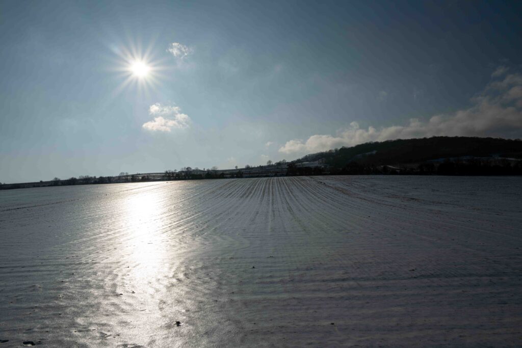 L1006015.JPG L1006015.JPG