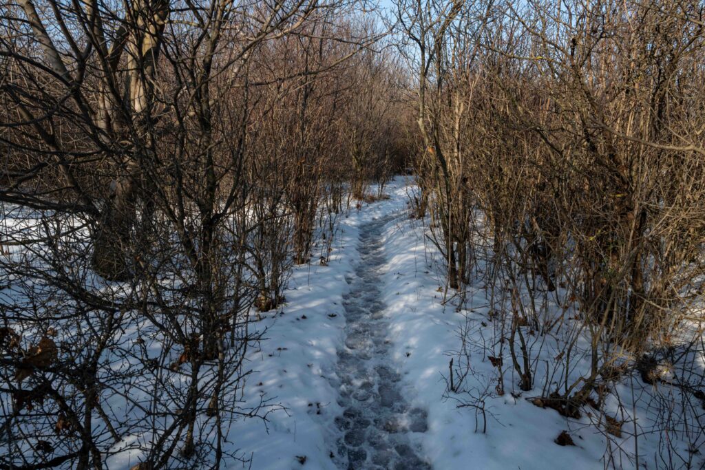 L1006023.JPG L1006023.JPG