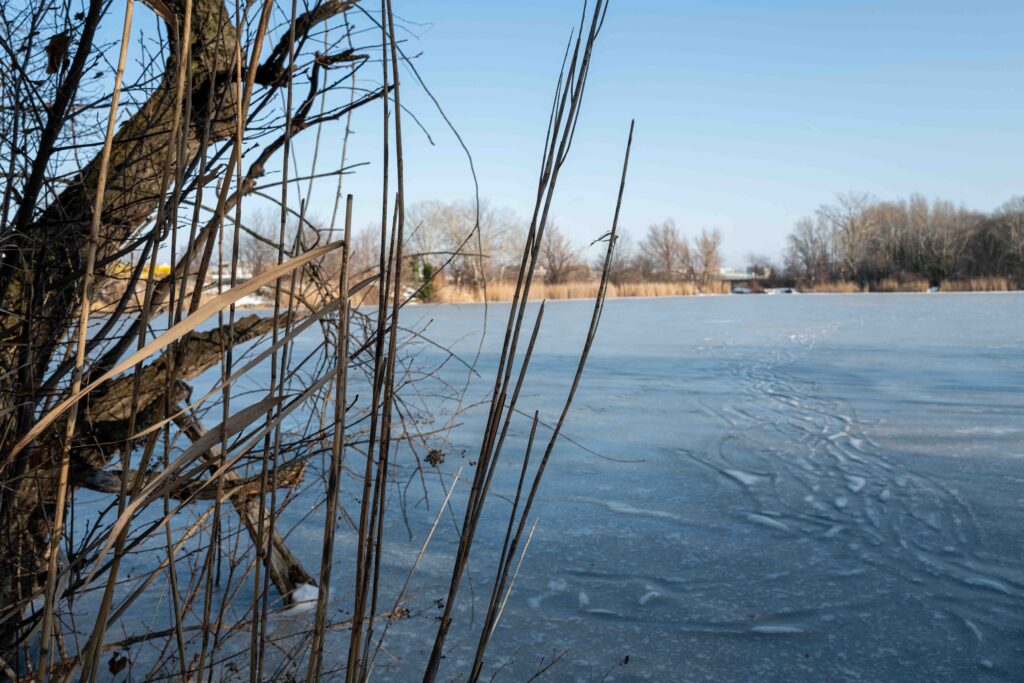 L1006032.JPG L1006032.JPG