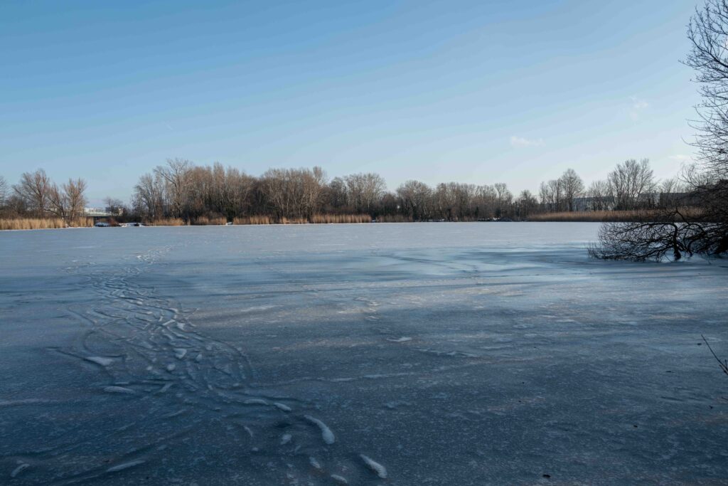 L1006036.JPG L1006036.JPG