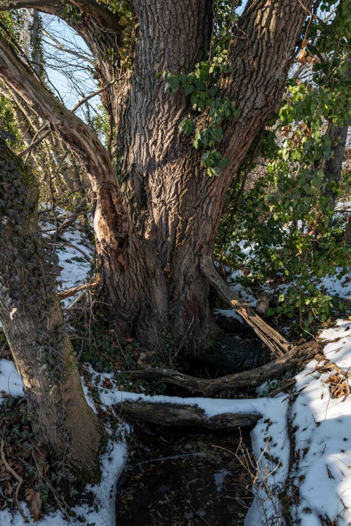 L1006041.JPG L1006041.JPG