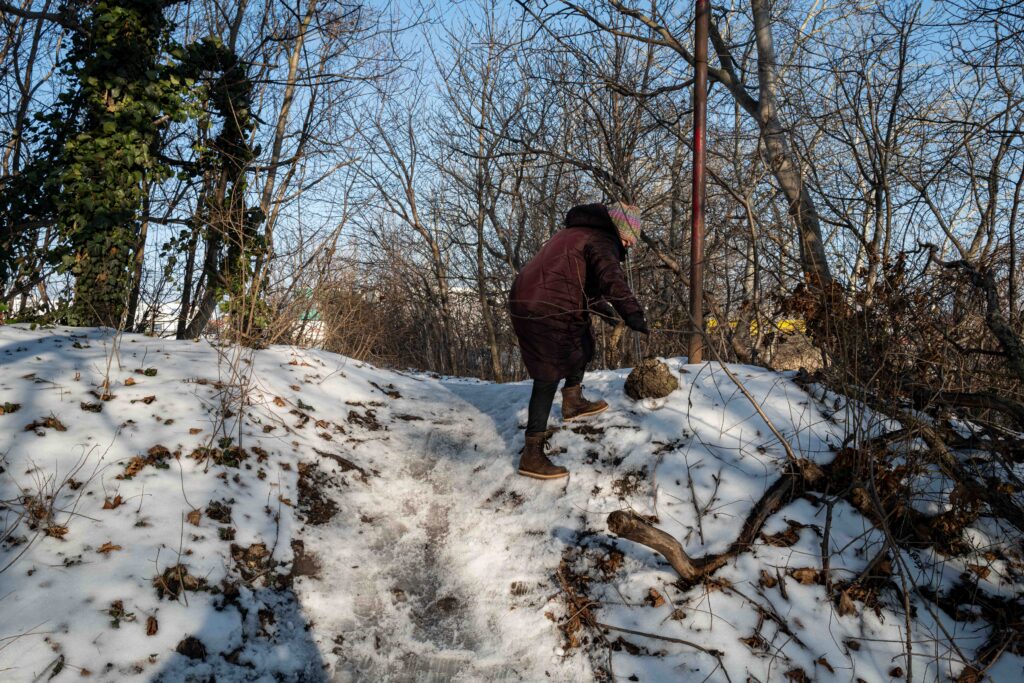 L1006043.JPG L1006043.JPG