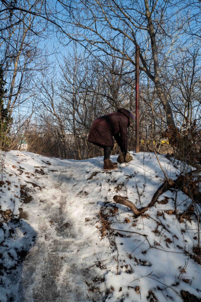 L1006045.JPG L1006045.JPG