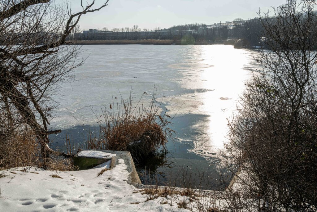 L1006056.JPG L1006056.JPG