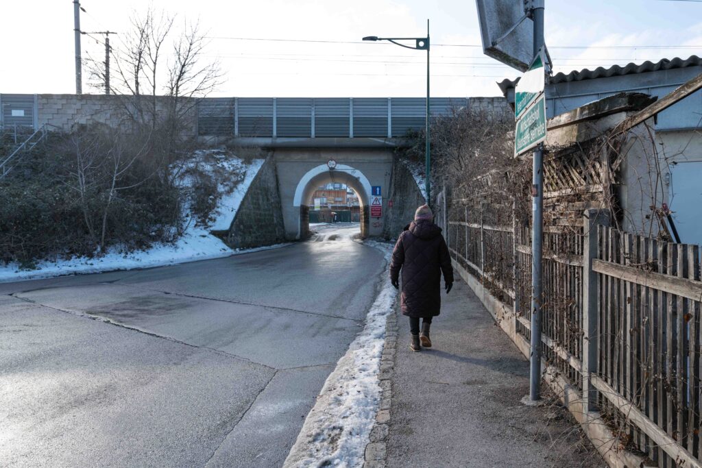 L1006083.JPG L1006083.JPG